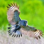 壹号娱乐网页版的游戏开发商与合作伙伴 1apw629op5