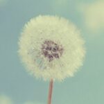 问鼎娱乐H5的多样化游戏类型解析 b7dl5a