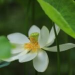 壹号娱乐ng:平台的支付方式与提现流程解析 clv81acay