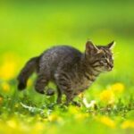 壹号娱乐ng:定期更新的活动与赛事信息分享 h4u7dm2