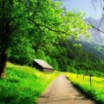 问鼎娱乐H5的活动与奖励:不容错过的精彩内容 j35fp3j4g7