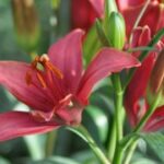 壹号娱乐网页版的安全性与隐私保护措施 l094l