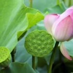 问鼎娱乐H5的游戏玩法与策略分享 saw90616lk