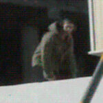 问鼎娱乐app:轻松注册,快速体验精彩游戏世界 zodev